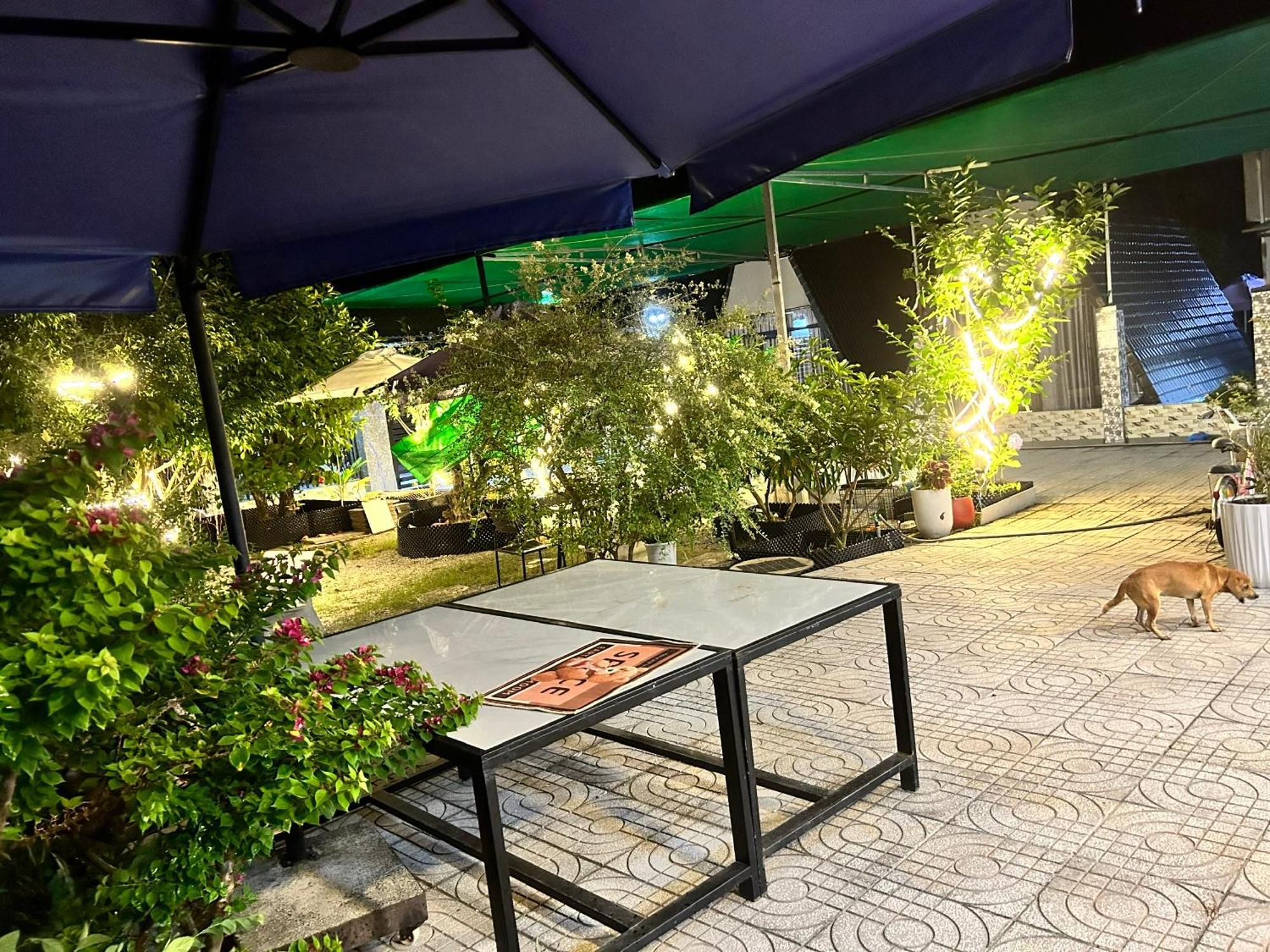 Homestay A Au Family Binh Chau Exterior foto